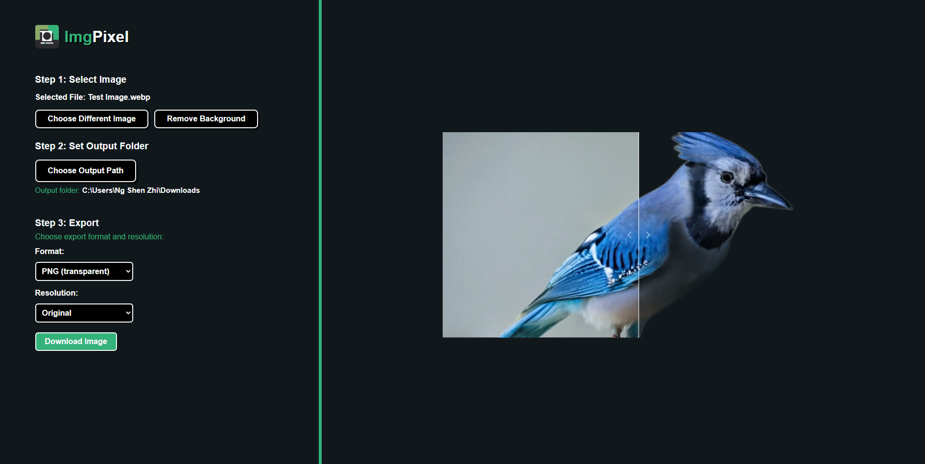 ImgPixel screenshot